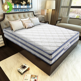 床垫棕垫 椰棕 经济型1.5m1.8米席梦思 天然山棕偏硬棕垫 可定制