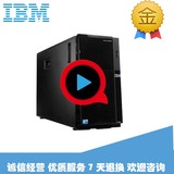 IBM服务器 4U塔式 X3300M4 E5-2403 主频1.8GHZ  8G 2*300G硬盘