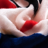 床笠法兰绒四件套床垫保护套法莱绒床罩1.8M1.5米 加厚珊瑚绒单件