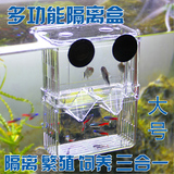 鱼苗孵化器孔雀鱼透明繁殖盒斗鱼隔离箱亚克力双层自浮孵化盒大号