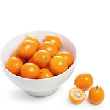 广西桂林金桔4斤现货金柑 新鲜水果SG毁包赔脆皮金橘 其它