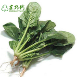 【京黔园】新鲜蔬菜有机肥 小菠菜 自然熟 北京买菜同城配送到家