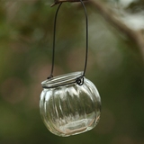 迷你垂吊花瓶小吊瓶 简约玻璃南瓜吊瓶 带铁丝挂钩 水培容器