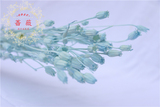 蔷薇蓝色风铃果永生配花灯笼果日本大地农园进口保鲜花插花瓶头饰