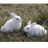 热卖包邮 仿真兔子模型小白兔子公仔儿童毛绒玩具摄影道具可爱趴