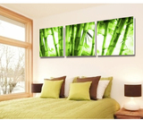 现代简约无框画客厅餐厅卧室装饰清新绿竹布纹水晶膜