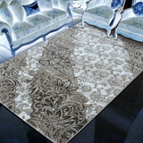 欧美时尚客厅卧室地毯 现代简约优雅门厅防滑地毯 新品高端东升