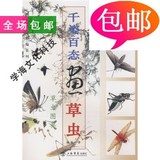 国画训练新编系列：千姿百态画草虫/上海书店出版社
