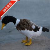 仿真羽毛鸭子花园沙滩摆件水鸭 展翅白色羽毛鸭子教学动物模型
