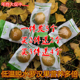广西特级罗汉果5个包邮 新鲜低温真空冻干脱水珍金茶桂林特产批发
