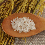 岗子峪有机稻花香米正宗东北五常大米新米农家自产黑龙江特产5kg