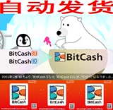 四钻 自动发货 bitcash EX 礼品券充值卡 1000pt点券（1千日元）