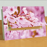 粉红樱花电表箱遮挡贴画 客厅创意防水电箱贴装饰 可移除贴纸包邮