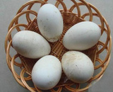 新鲜农家散养土鹅蛋 3年放养草鹅蛋 孕妇去胎毒 大鹅蛋 12枚包邮