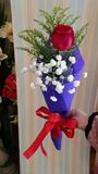 1朵玫瑰单支康乃馨花束鲜花速递送母亲节公司庆典批发会议办公用