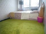 绒地毯全铺满铺儿童房地毯茶几客厅卧室床边定制