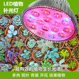 led植物生长灯补光灯多肉水草组培育苗室内花卉种植补光射灯E27