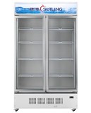 穗凌LG4-500M2/W商用冷柜立式展示柜冰柜无霜风冷双门饮料柜