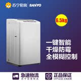 Sanyo/三洋 XQB65-951Z 6.5公斤波轮洗衣机全自动