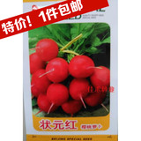 状元红樱桃萝卜种子 小圆萝卜 生长迅速 肉质细嫩 春播蔬菜 10g