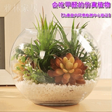 雅林特价迷你多肉植物花艺盆栽透明玻璃鱼缸绿植摆件 假花仿真花