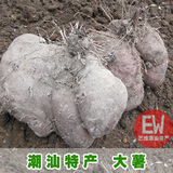 广东农家自种新鲜紫山药 紫薯 大薯 紫淮山 可做种苗