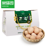 【誉福园】橘园散养初生蛋36枚*礼盒装 农家土鸡蛋 草鸡蛋