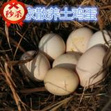 30枚包邮陕西黄龙农家土鸡蛋 山林低密度散养有机土鸡蛋新鲜鸡蛋