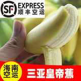 海南 三亚 新鲜水果香蕉 海南皇帝蕉 小米蕉 帝王蕉  5斤顺丰空运