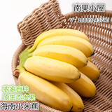 海南三亚皇帝蕉 小米蕉 小芭蕉 香蕉5斤装 新鲜水果