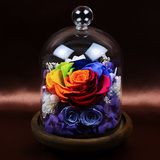 顺丰包邮进口巨型七彩永生花礼盒玻璃罩玫瑰花盒生日情人节礼物