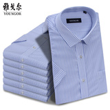 Youngor/雅戈尔16夏款男士商务正装纯棉免烫短袖衬衫条纹半袖衬衣