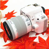送卡通盖Canon/佳能100D套机(18-55mm) 白色单反kissX7港囧款现发