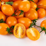 【鲜农乐】海南黄圣女果1.6斤/份 小西红柿番茄 新鲜水果