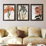美式乡村装饰画   餐厅卧室现代花卉植物挂画  二三联有框墙壁画