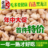 2015新货 农家自产有机东北小麦仁500g 小麦米 黑龙江五谷杂粮
