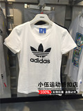 专柜正品Adidas/阿迪达斯三叶草秋季女款短袖T恤B36947 AJ8084