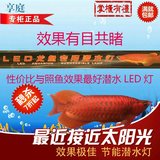 超亮鱼缸潜水灯水族箱防水灯非变色灯LED水中灯照明灯LED鱼缸灯