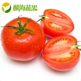 麟海蔬果杭州同城配送新鲜蔬菜绿色无公害番茄西红柿1斤