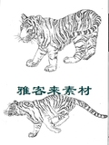 工笔画入门动物初学者练习白描底稿猛兽类老虎素材实物打印配景稿