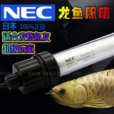 NEC龙鱼灯三基色鱼缸专用灯6700K鱼缸灯管诱发色防水灯鱼缸照明灯