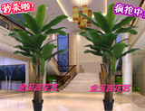 仿真芭蕉树仿真植物假室内树塑料树高 三杆香蕉树大型落地客厅