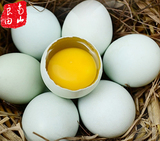 [南山良田]农家散养土鸡蛋乌鸡蛋绿壳蛋草鸡蛋孕妇月子辅食20枚装