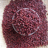 大红豆500g农家自产红小豆赤豆杂粮 非转基因