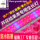昊林LED红蓝灯大棚植物补光灯 反季蔬果花卉/瓜果大棚补光专用灯