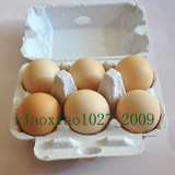 6枚白色纸浆蛋盒鸡鸭蛋盒带盖蛋盒纸浆蛋托6只装土鸡鸭蛋包装盒