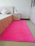 欧式加厚丝毛地毯纯色客厅沙发茶几床边卫浴玄关地毯地垫房间满铺