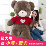 泰迪熊猫公仔1.6米2毛绒玩具抱抱熊大熊抱枕布娃娃玩偶生日礼物女