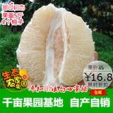 【预售5斤礼盒】平和白心柚子白肉蜜柚 新鲜孕妇水果甜西柚沙田柚