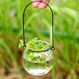 南瓜玻璃吊瓶 带铁圈 水培植物花卉种球盆栽绿植花瓶玻璃绿萝
